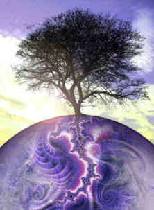 image by Derek Kaplan