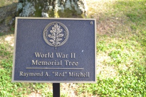 Raymond A. Mitchell Plaque.JPG