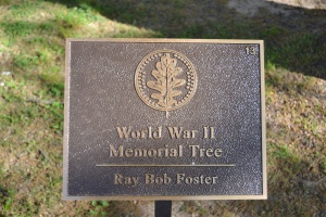 Ray Bob Foster Plaque.JPG