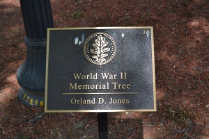 Orland D. Jones Plaque.JPG