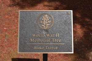 Blake Treece Plaque.JPG