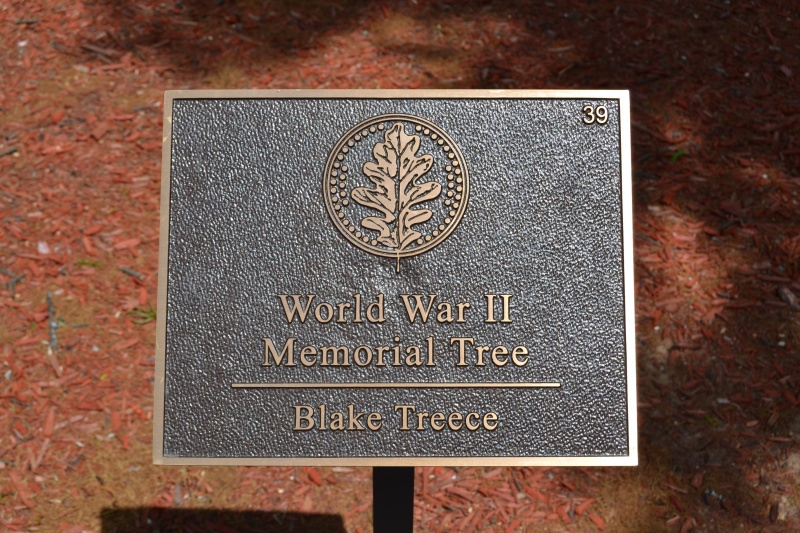 File:Blake Treece Plaque.JPG
