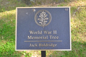 Jack Baldridge Plaque.JPG