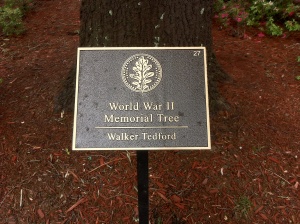 Walker Tedford Plaque.JPG