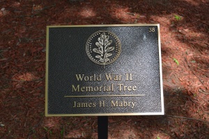 James H. Mabry Plaque.JPG