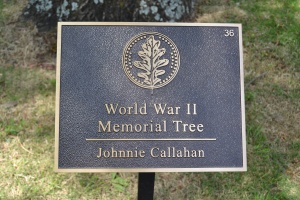 Johnnie Callahan Plaque.JPG