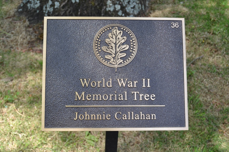 File:Johnnie Callahan Plaque.JPG