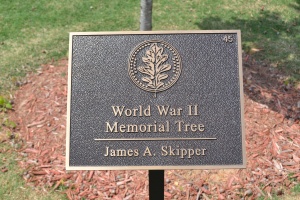 James A. Skipper Plaque.JPG