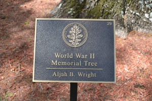 Aljah B. Wright Plaque.JPG