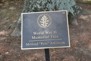 Milford Atkinson Plaque.JPG